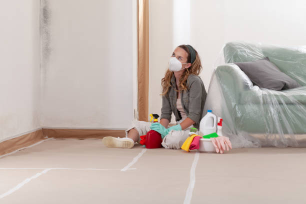 Reliable Mold Remediation contractor in Maitland, FL by WQB Mold Removal